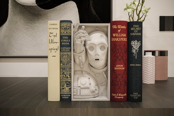 Star Wars R2-D2 and C-3PO - Galactic Droid Inspired Book Nook & Wall Mount